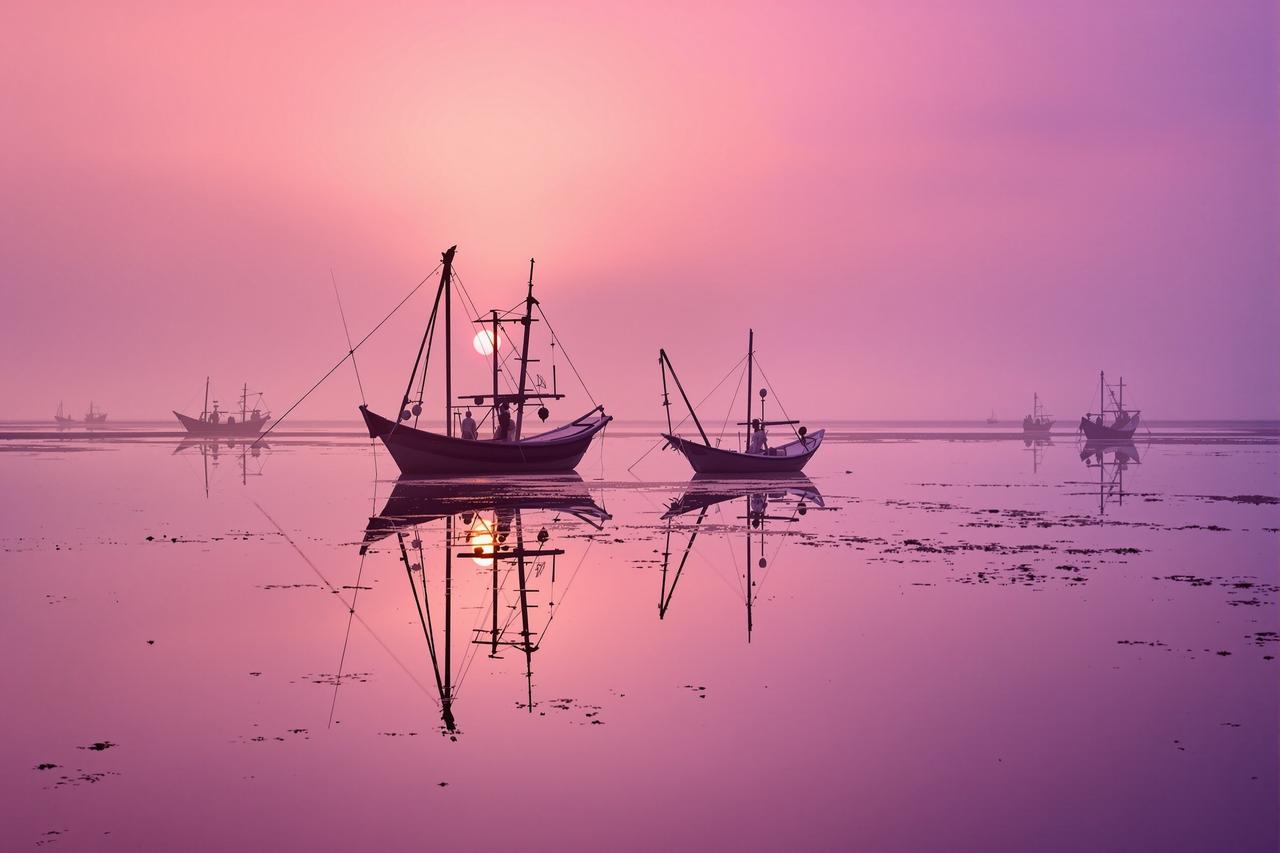 爱迪影视 - 潮汐之间 · 霞浦滩涂画卷 - 图1 潮汐之间 · 霞浦滩涂画卷 - 图1